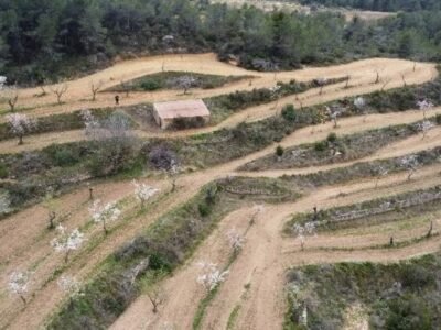 Finca rústica en venta