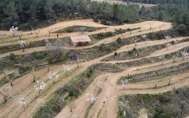 Finca rústica en venta