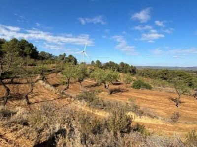 Finca rústica en venta