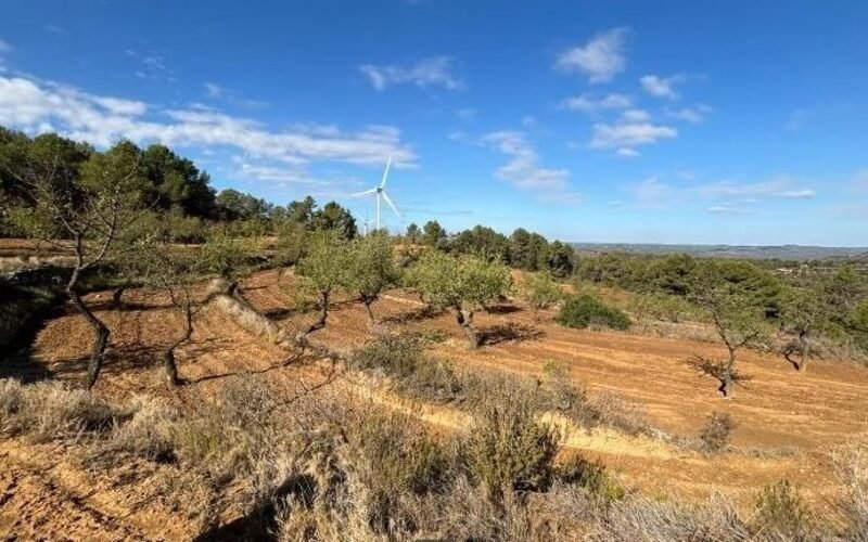 Finca rústica en venta
