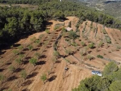 Finca rústica en venta