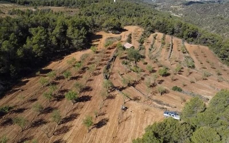 Finca rústica en venta