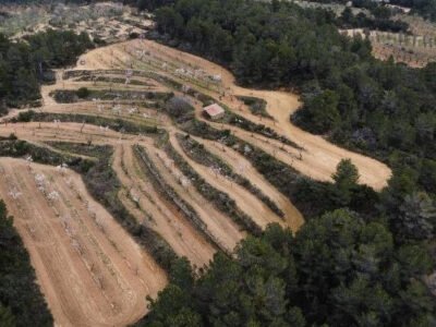 Finca rústica en venta