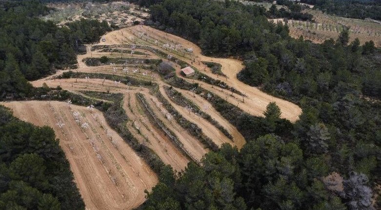 Finca rústica en venta