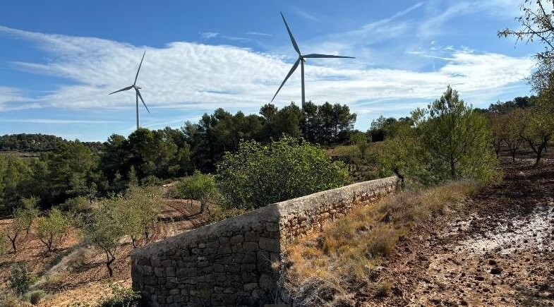 Finca rústica en venta