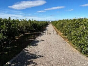 Terreno en venta en Los Pinares