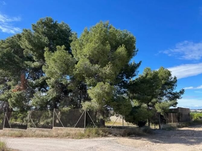 Terreno en venta en Los Pinares