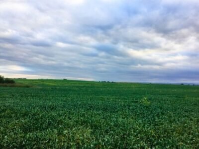 Venta de Campo 938,5 Has.