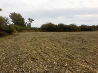 Venta de Campo 938,5 Has.