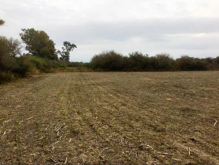 Venta de Campo 938,5 Has.