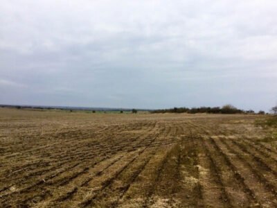 Venta de Campo 938,5 Has.