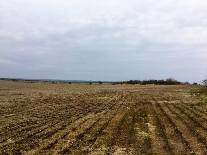 Venta de Campo 938,5 Has.